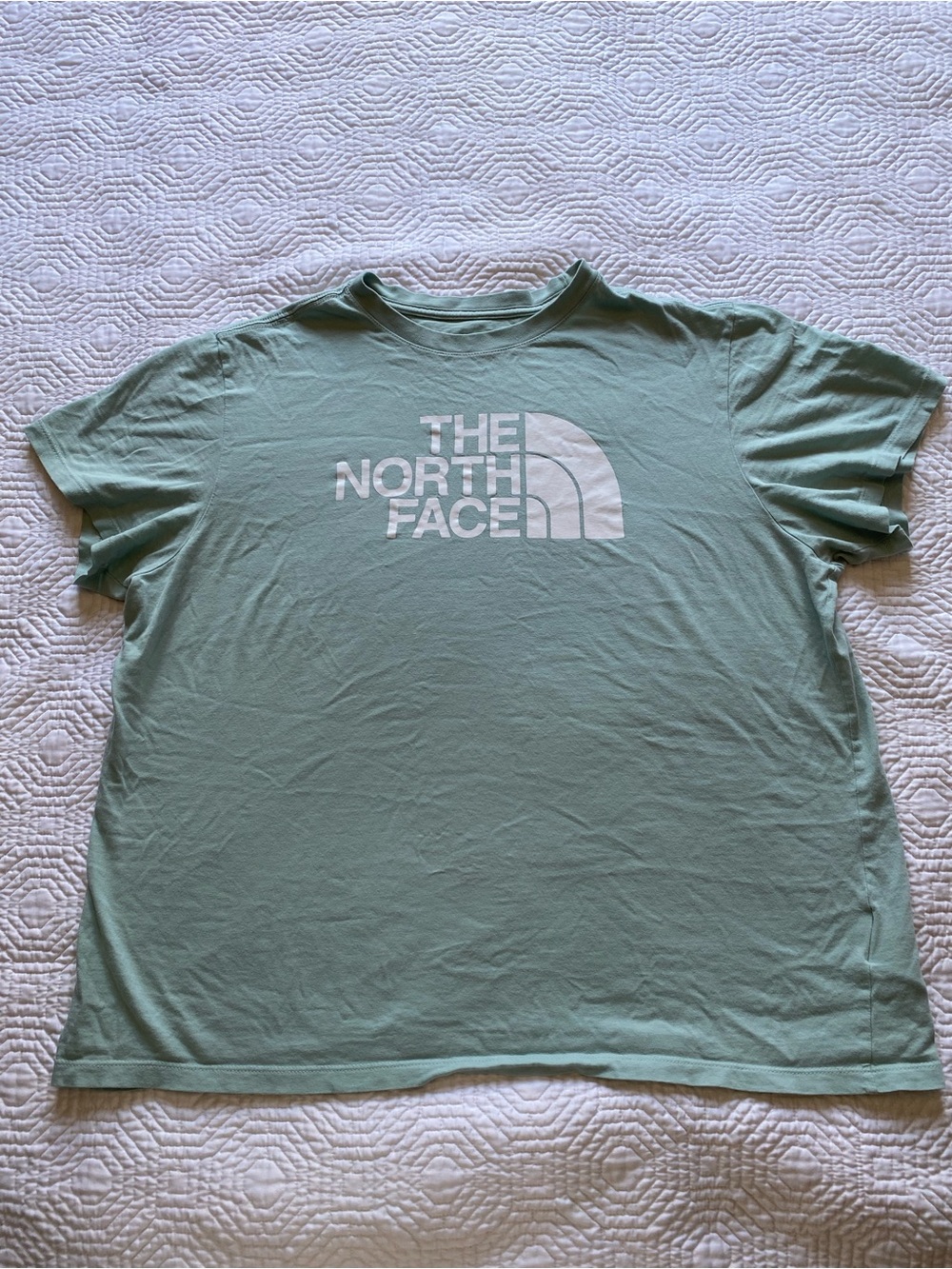 The North Face Mint Green Logo Tee XL Cotton Crewneck Half Dome Granola Normcore